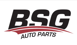BSG logo