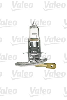Ampoule, projecteur longue portée ESSENTIAL H3