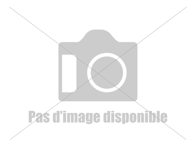 Amortisseur
