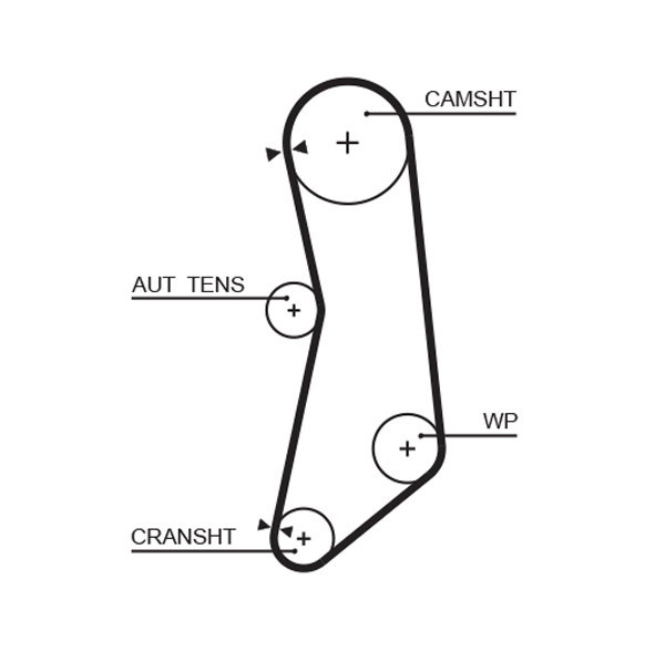 Courroie de distribution PowerGrip®