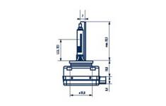 Ampoule, Xenon