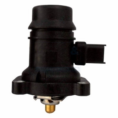 Thermostat d'eau