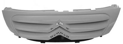 Grille de radiateur