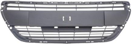 Grille de radiateur