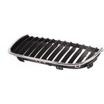 Grille de radiateur