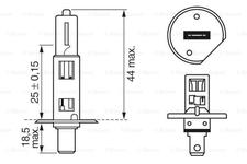 Ampoules