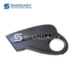 Grille anti-brouillard Origine CHERY