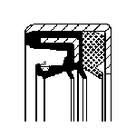 Joint spi transmission