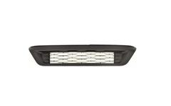 Grille pare-choc Fiorino