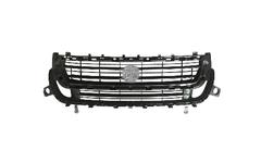 Grille de radiateur