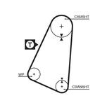 Courroie de distribution PowerGrip®