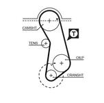 Courroie de distribution PowerGrip®