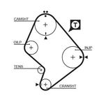 Courroie de distribution PowerGrip®