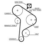 Courroie de distribution PowerGrip®