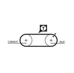 Courroie de distribution PowerGrip®