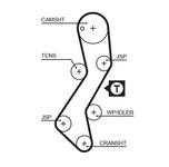 Courroie de distribution PowerGrip®