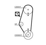 Courroie de distribution PowerGrip®
