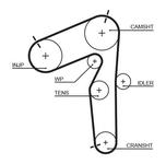 Courroie de distribution PowerGrip®