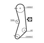 Courroie de distribution PowerGrip®