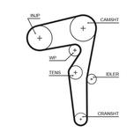 Courroie de distribution PowerGrip®