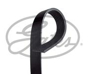 Courroie d'accessoire