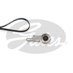 Kit de courroie d'accessoire