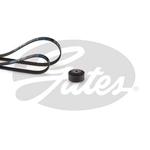 Kit de courroie d'accessoire