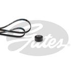 Kit de courroie d'accessoire