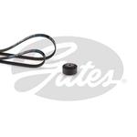 Kit de courroie d'accessoire