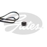 Kit de courroie d'accessoire
