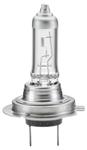 Ampoules