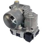 Corps papillon