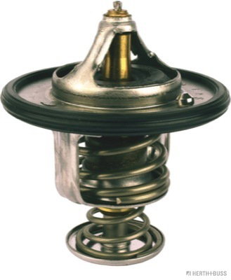 Thermostat d'eau