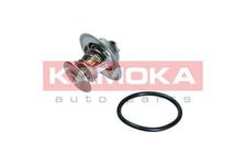 Thermostat, liquide de refroidissement