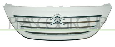Grille de radiateur