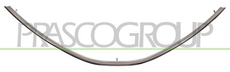 Grille de radiateur