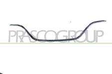 Cadre, grille de radiateur PremiumCertified
