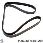 Jeu de courroies trapézoïdales à nervures Origine Peugeot