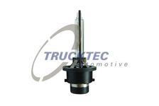 Ampoule, projecteur principal