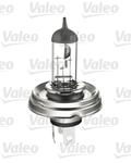Ampoules
