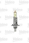 Ampoules