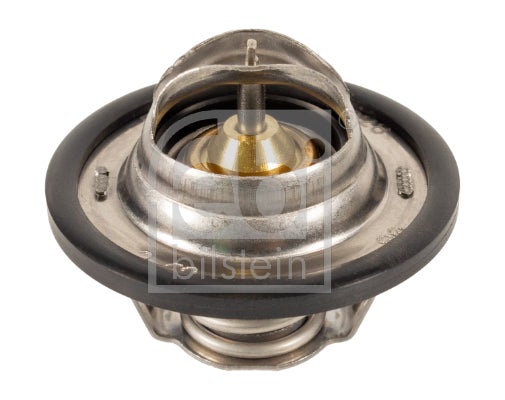 Thermostat d'eau