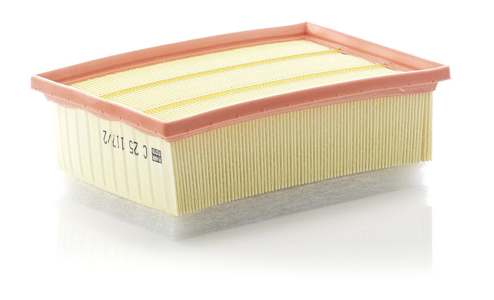 Filtre à air MANN-FILTER C 25 117/2