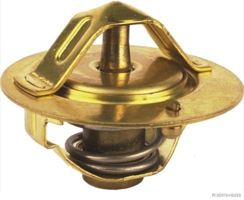 Thermostat d'eau